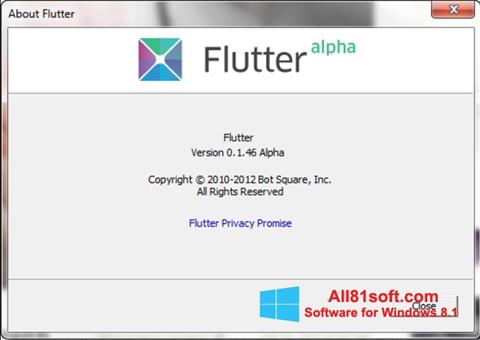 સ્ક્રીનશૉટ Flutter Windows 8.1
