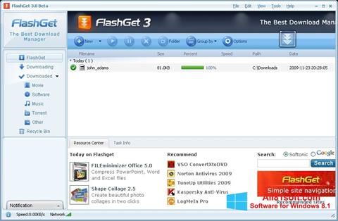 સ્ક્રીનશૉટ FlashGet Windows 8.1