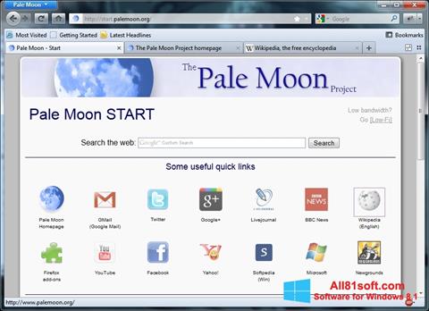સ્ક્રીનશૉટ Pale Moon Windows 8.1
