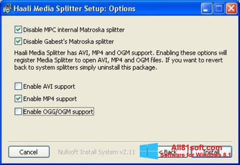 સ્ક્રીનશૉટ Haali Media Splitter Windows 8.1