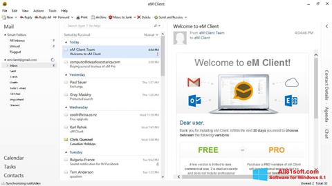 સ્ક્રીનશૉટ eM Client Windows 8.1