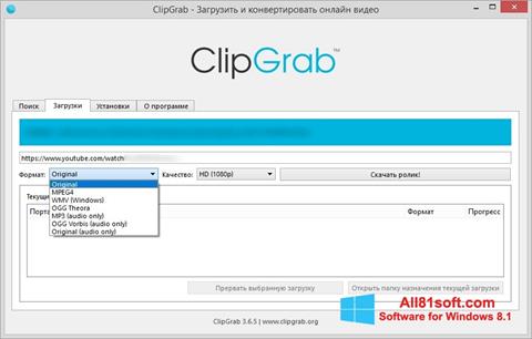 સ્ક્રીનશૉટ ClipGrab Windows 8.1