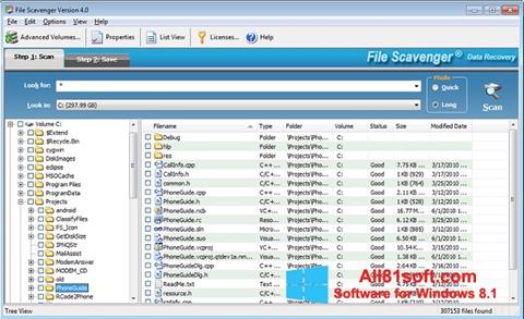 સ્ક્રીનશૉટ File Scavenger Windows 8.1