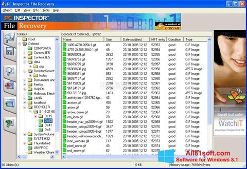 સ્ક્રીનશૉટ PC Inspector File Recovery Windows 8.1