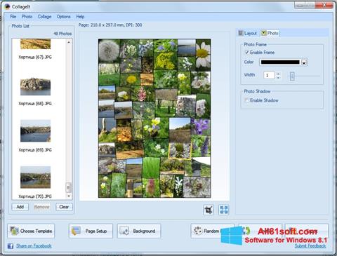 સ્ક્રીનશૉટ CollageIt Windows 8.1