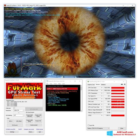 સ્ક્રીનશૉટ FurMark Windows 8.1