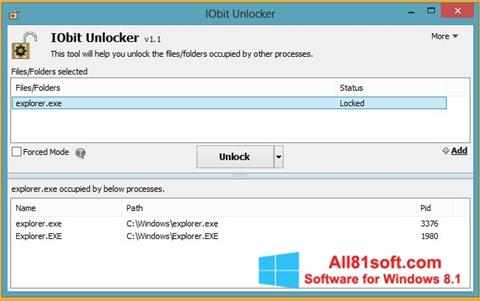 સ્ક્રીનશૉટ IObit Unlocker Windows 8.1