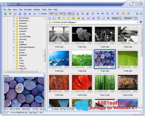 સ્ક્રીનશૉટ FastStone Image Viewer Windows 8.1