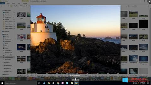 સ્ક્રીનશૉટ Picasa Photo Viewer Windows 8.1